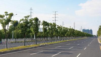 雙龍大道