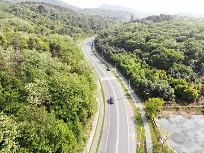 環(huán)老山道路景觀帶