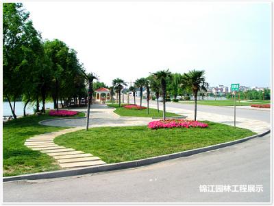 百家湖鳳凰廣場(chǎng)