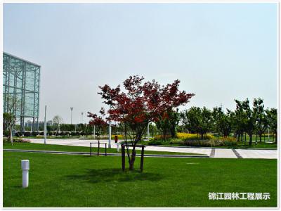 科學園管委會大樓