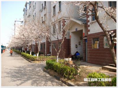 天景山小區(qū)景觀工程