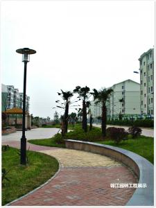 殷巷小區(qū)綠化