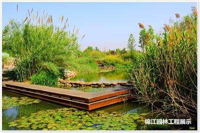 大學城生態(tài)公園