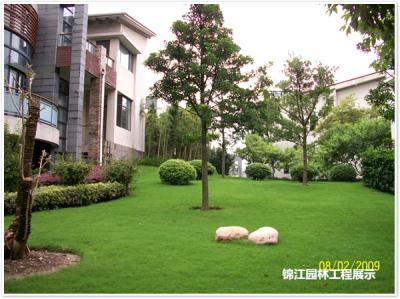 湖北武漢市寶利金廣場