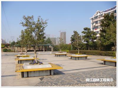 科學(xué)園激情廣場(chǎng)