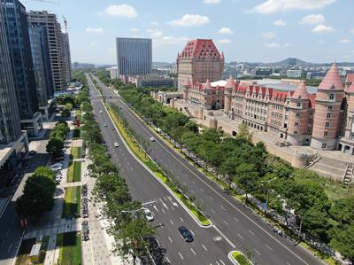 蘇源大道景觀綠化改造工程